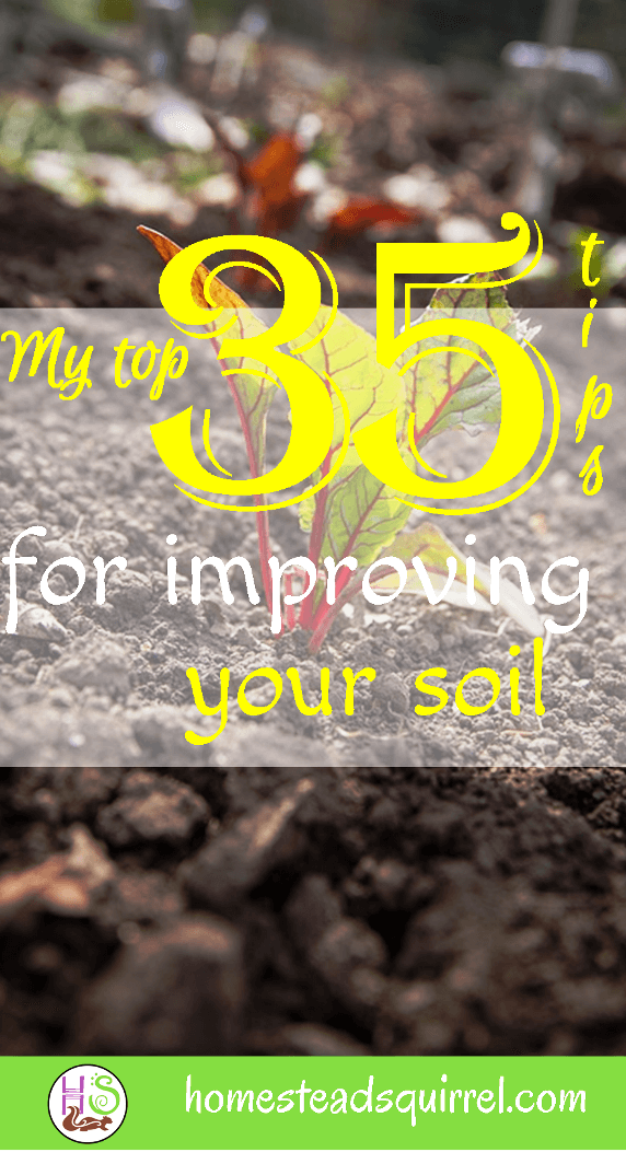 Healthy Soil