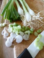 spring onions
