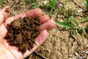 simple way to test your soil for friability