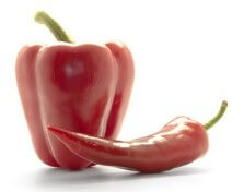 growing vegetables for beginners - peppers