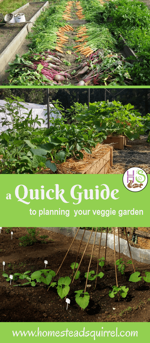 The location of your vegetable garden is vital to its success. Get only one or two of these planning considerations wrong and your veggies will most likely struggle at best and you’ll be left frustrated and wondering why things are not growing well. Please take a walk around your outdoor space with all of these tips in mind before you decide on the location for your veggie garden.