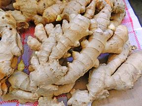 How to get plants for free- Division of Ginger rhyzomes