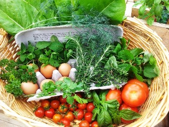 Organic Vegetable Gardening produce